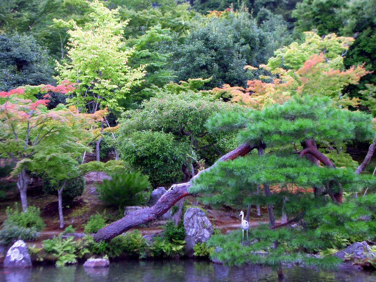 japan pretty landscape